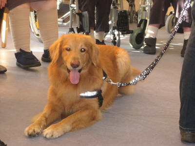 Bilbo